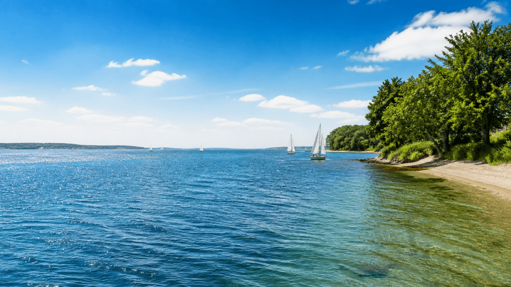 Symbolbild: sonnige Förde mit Segelbooten und grünem Ufer (KI-generiert)